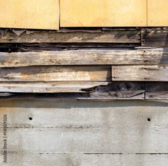 Coupe de structure en bois et béton, diagnostic termites